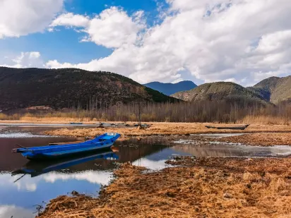 Casilando Casino Farsímaforrit